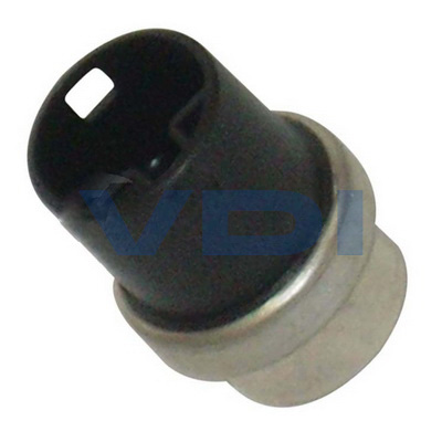 Kühlwassertemperatursensor 251 919 501